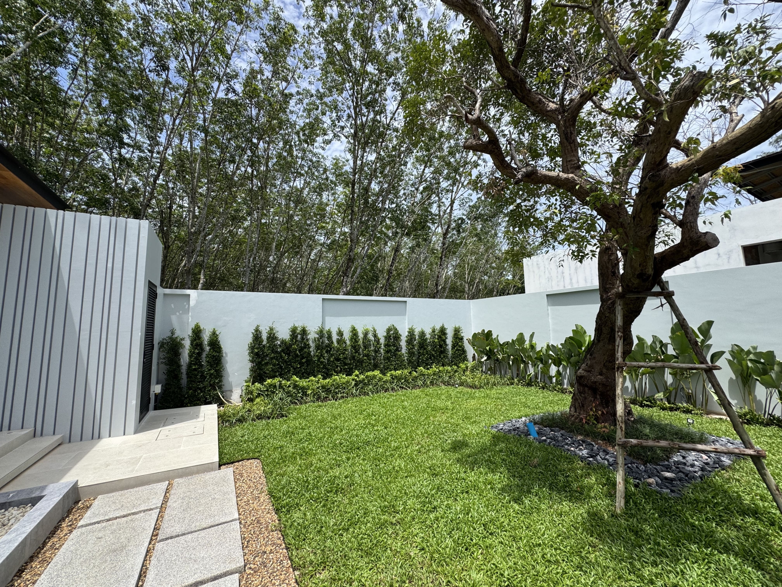 Botanica Foresta