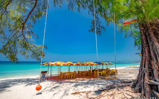 Beach swing with dining setup on sandy shore, tropical trees, and ocean view.