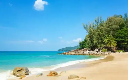 Tropical beach with clear turquoise water, sandy shore, and lush green trees in the background.