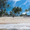 Tropical beach with palm trees and seaside resort