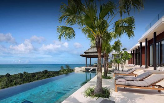 Luxury seaside villa with infinity pool and palms