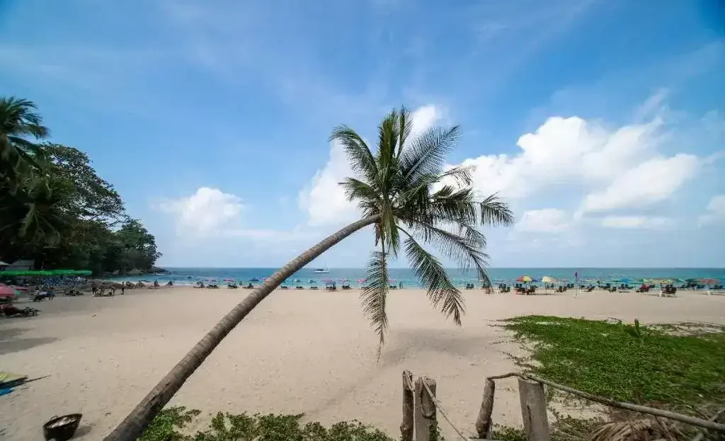 Sea view condo near Surin Beach with tropical palm trees and sandy shores.