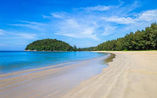 Tropical beach with turquoise sea and forested island