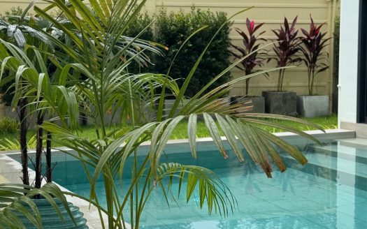 Pet-Friendly 3-Bedroom Modern Pool Villa: A Serene Sanctuary in Pa Klok