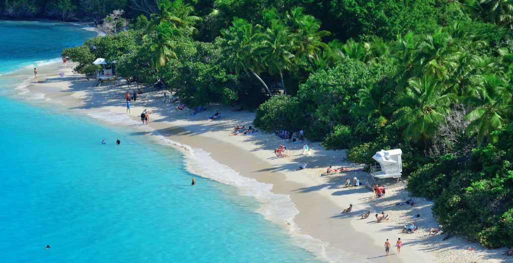 Tropical beach with turquoise sea and palm trees